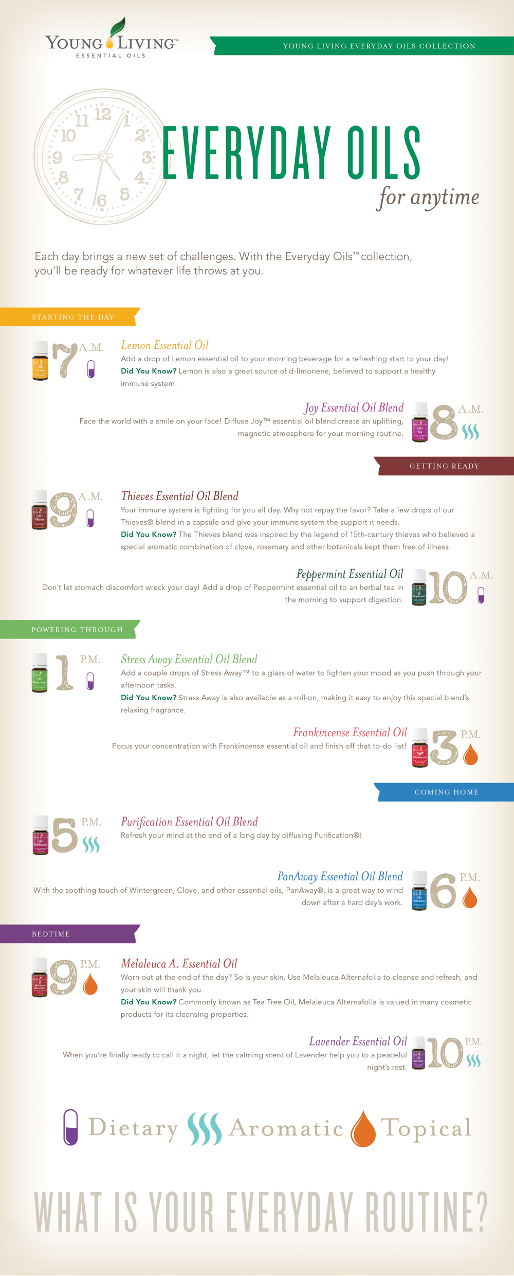 Infographic Everyday Oil for All Day Essential Oil Sage