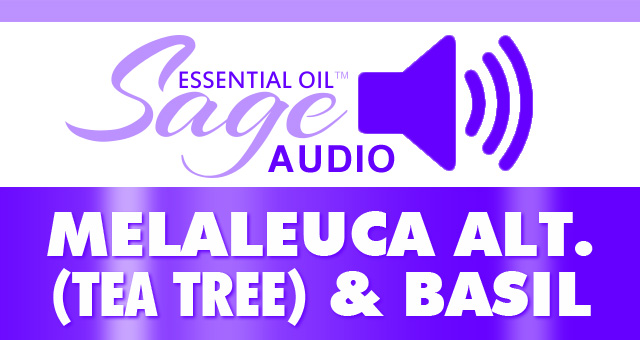 Audio: Basil & Melaleuca alt. (Tea Tree) Oil