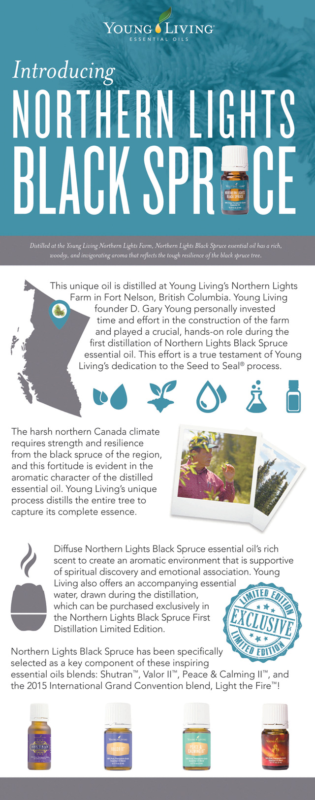 Black Spruce Graphic