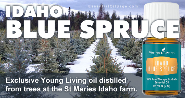 Young Living Blue Spruce Oil
