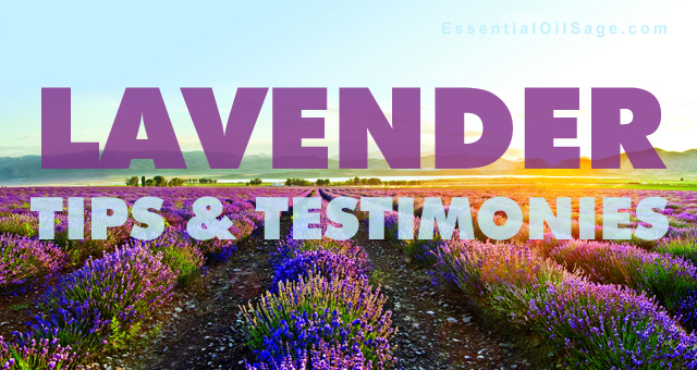 Lavender Testimonies & Tips