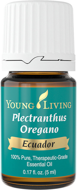 Plectranthus Oregano Oil