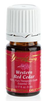 Young Living Western Red Cedar Oil