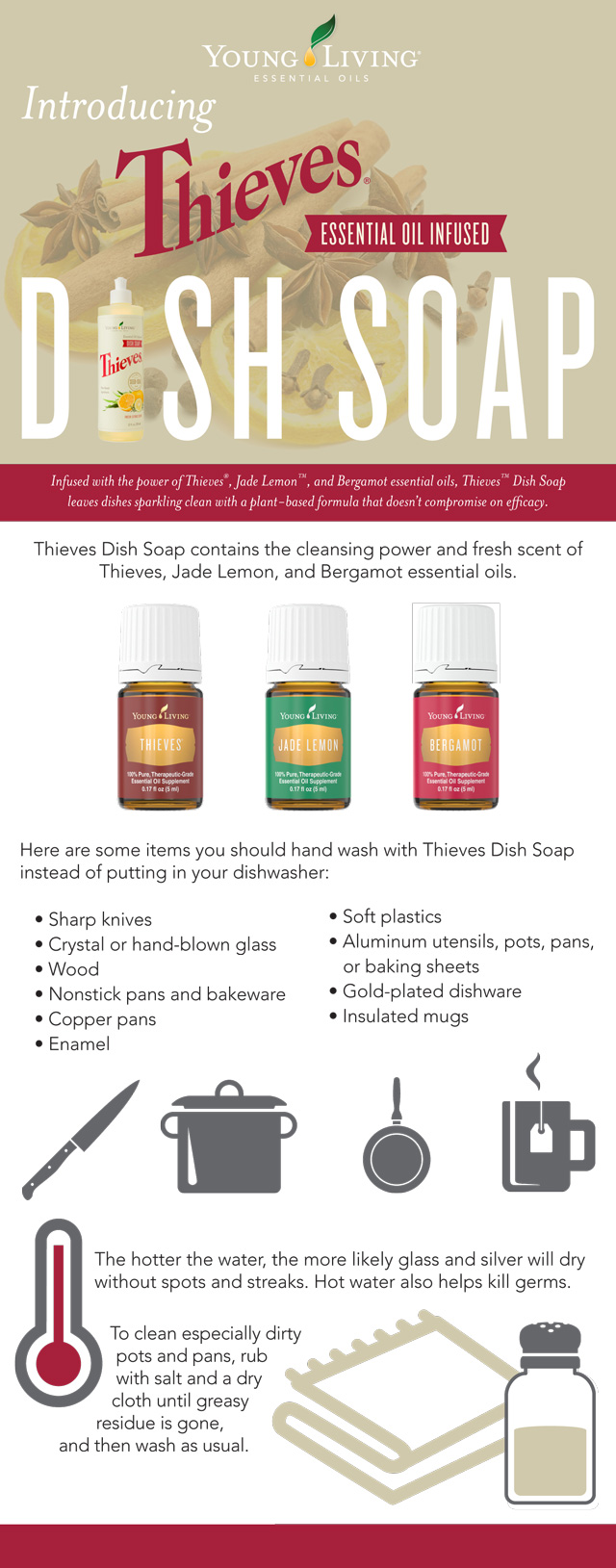 Thieves Dish Soap Infographic Essential Oil Sage