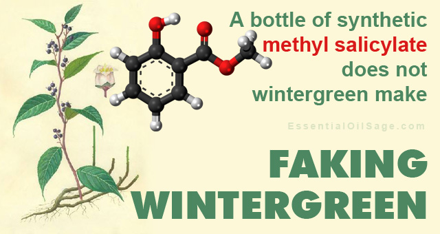 Chemistry of Wintergreen Oil