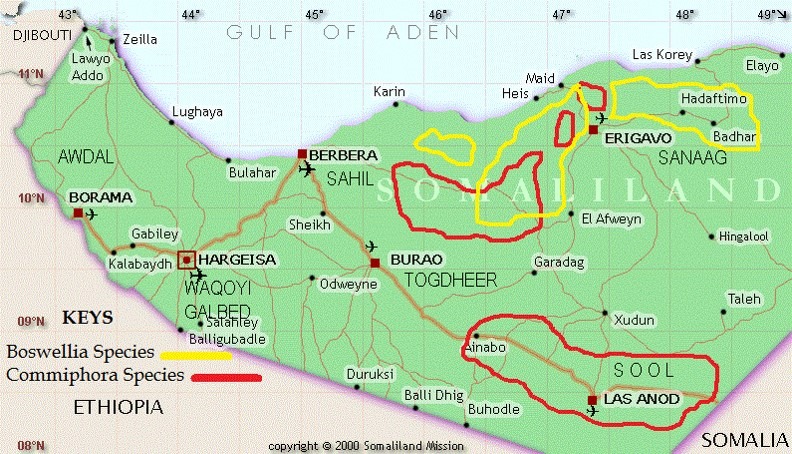 Somaliland Frankincense Map