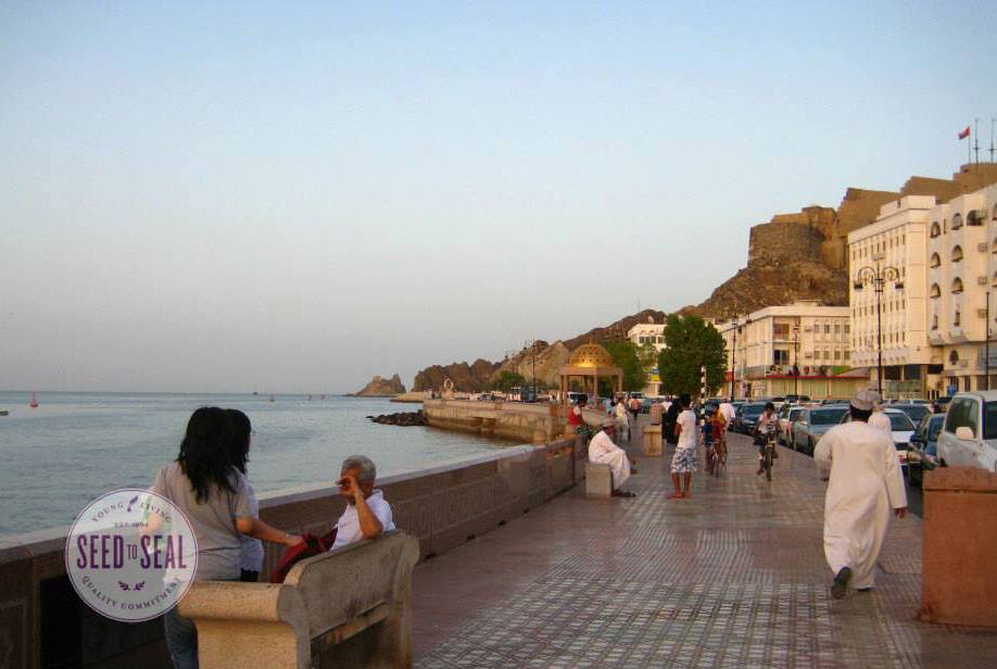 Plaza by the sea in Al-Balid