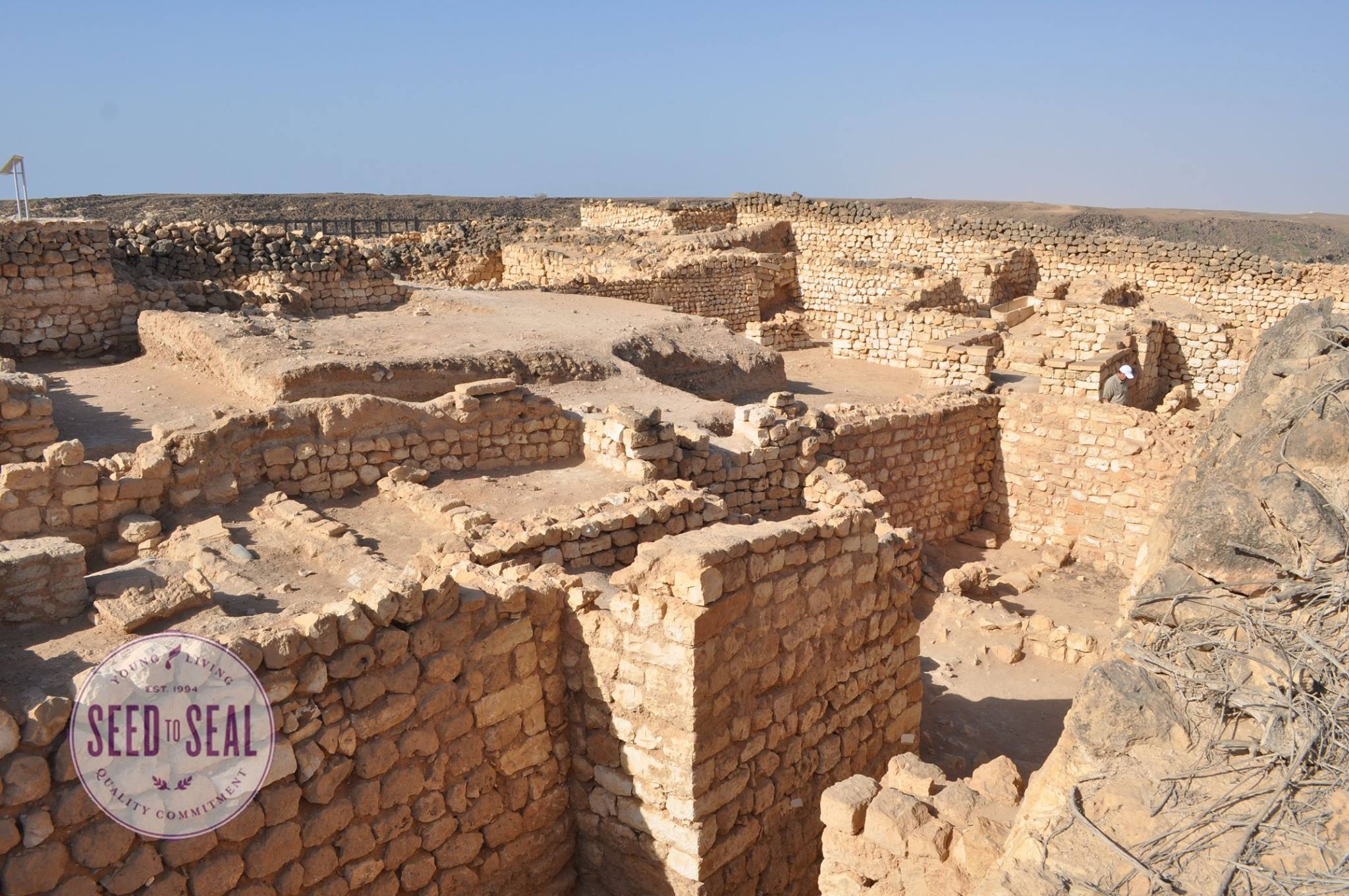 World Frankincense Heritage Site Salalah