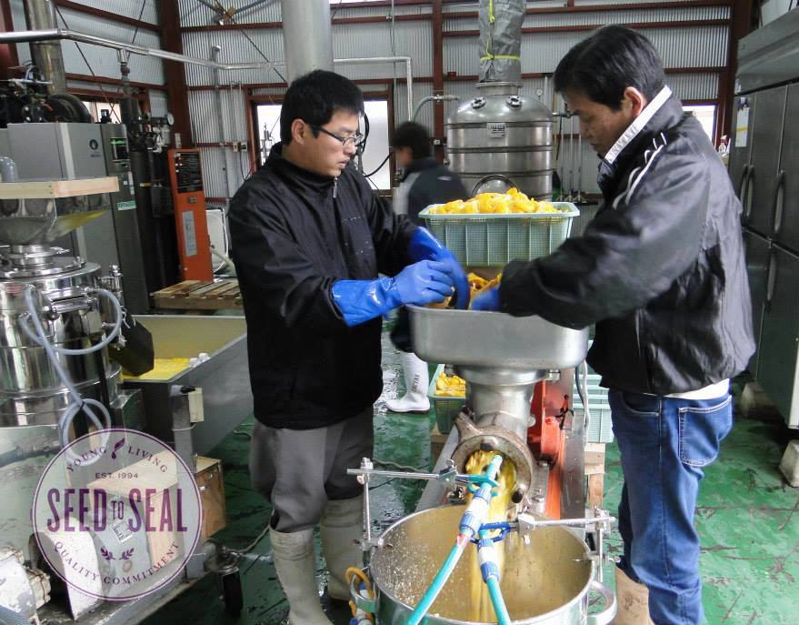 Processing Yuzu