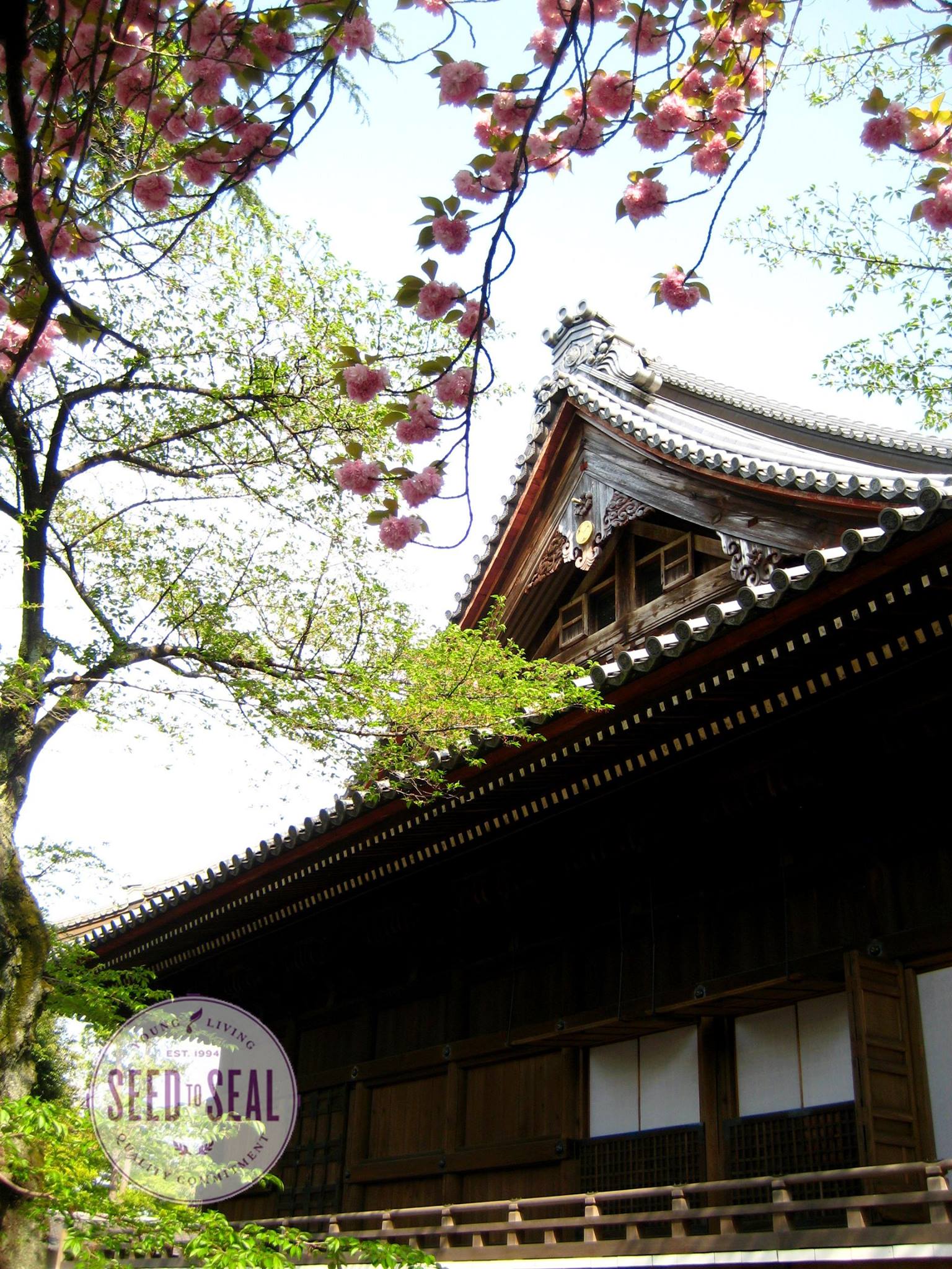 Temple made of Hinoki wood