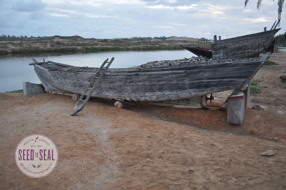 Old ships along Frankincense Trail
