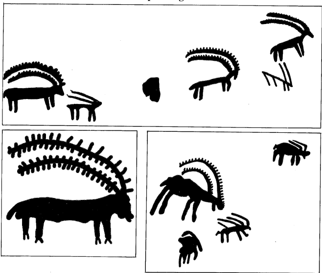 Ibex antelope cave painting in Dhofar Mountain range