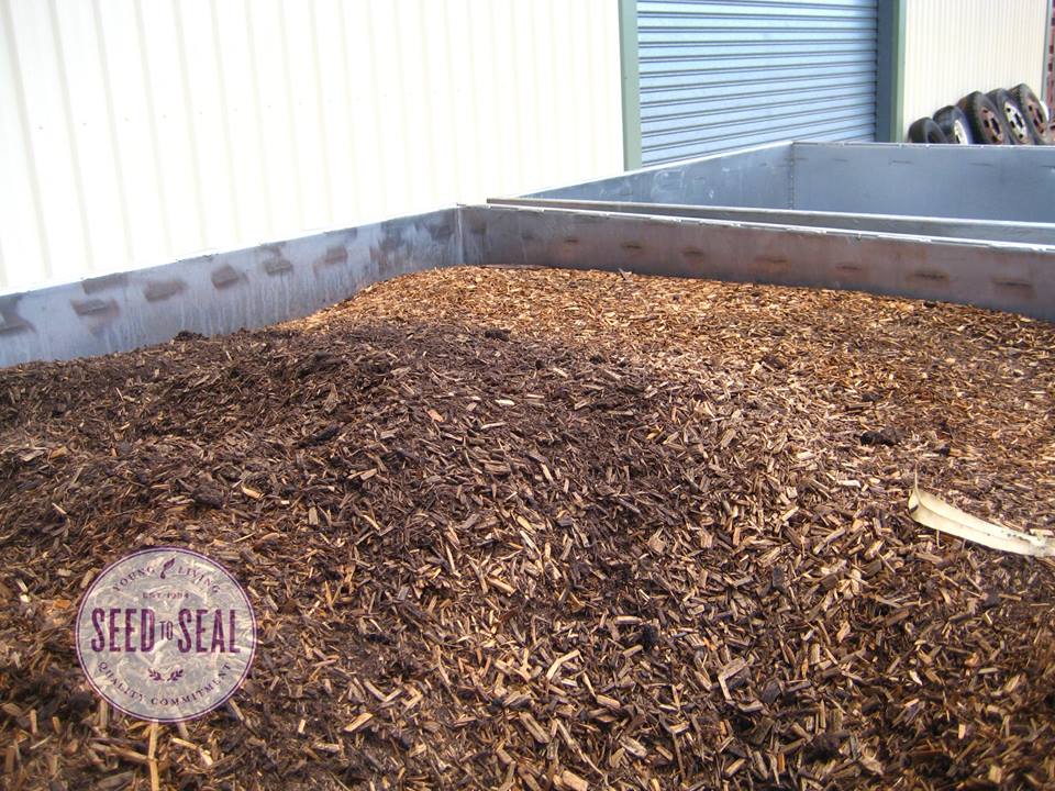 Vince: Blue Cypress partner